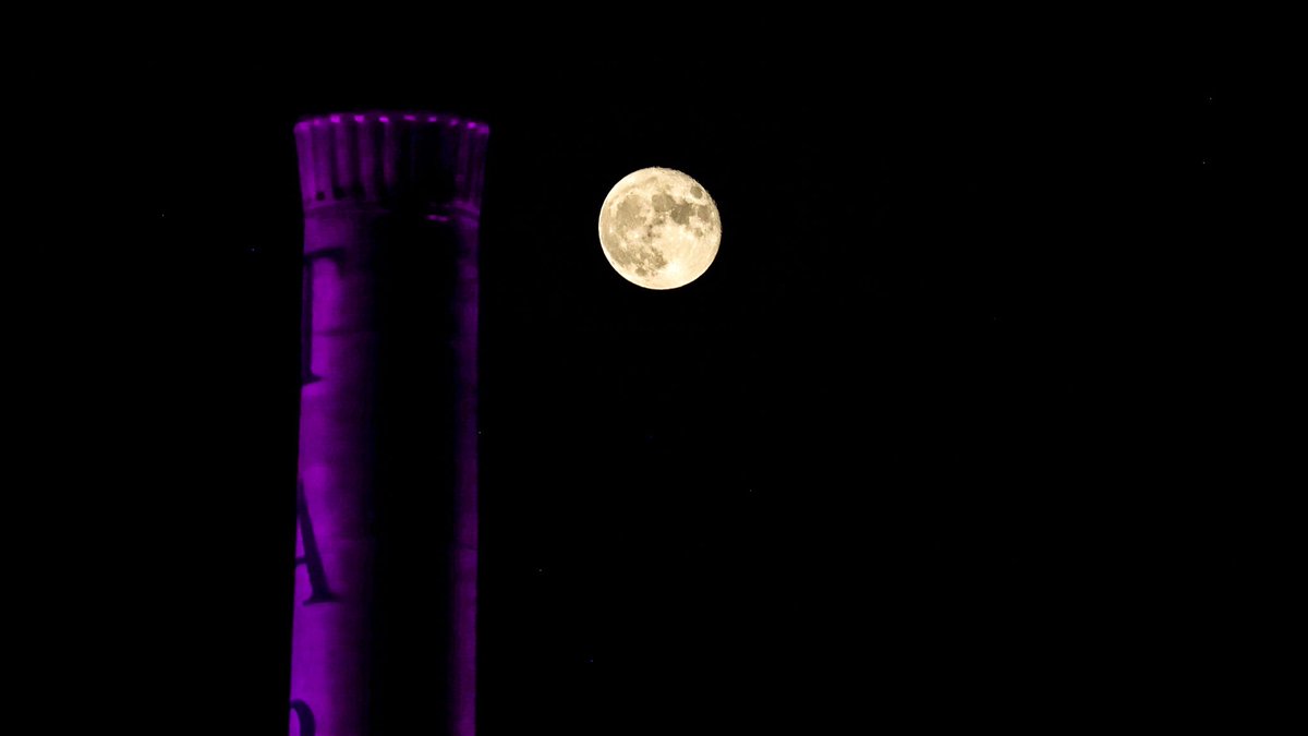 TarletonState's tweet photo. Tonight is the beginning of #TexanSpiritWeek! Join us for the lighting of the smokestack & announcing of the court at 7:30 PM at the smokestack/parking lot 13.
π: https://t.co/Pa9FmgvTux https://t.co/FB0ju0e92W