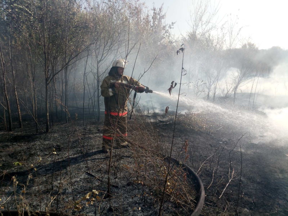 11.10.2020г. <a href="/Dobdepartament/">ДОБ Самарской области</a> <a href="/MakridinEA/">Евгений Макридин</a>
Добровольные пожарные <a href="/samara_incident/">Служба спасения Самарской области</a> ДПК Воскресенка <a href="/Volzhsky_adm/">Администрация Волжского района</a> получили вызов от Службы 01 <a href="/MCHS63/">ГУ МЧС Самара</a> по ад. п. Воскресенка <a href="/reinline67/">Рейн Людмила</a> ул.Песочная, 7А. Горение сухой травы и деревьев. Добровольцы работали совместно с ПЧ128 <a href="/spasenie112/">Центр по делам ГО, ПБ и ЧС</a>