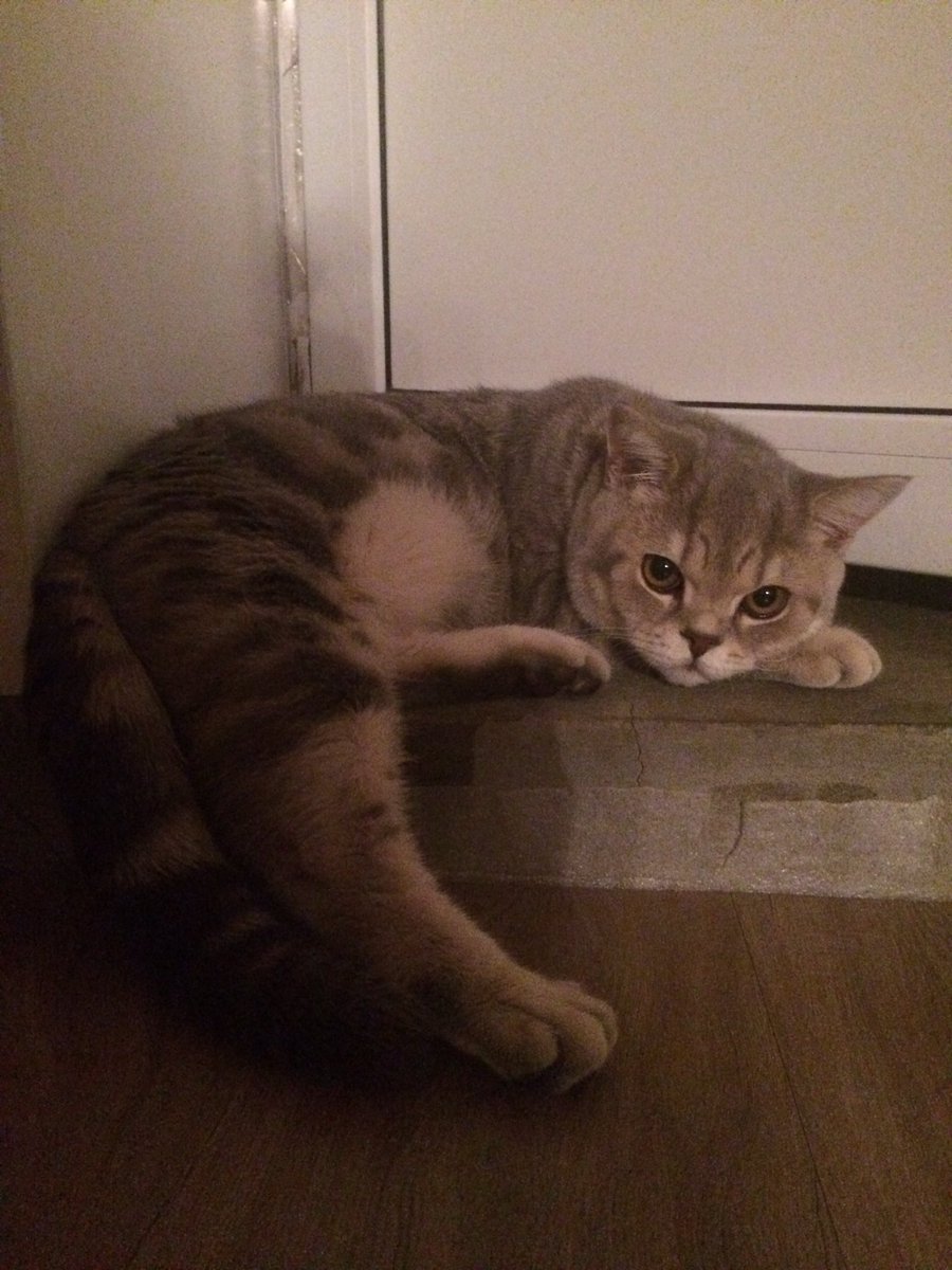 1999Myr's tweet photo. https://t.co/af7MPtnldz