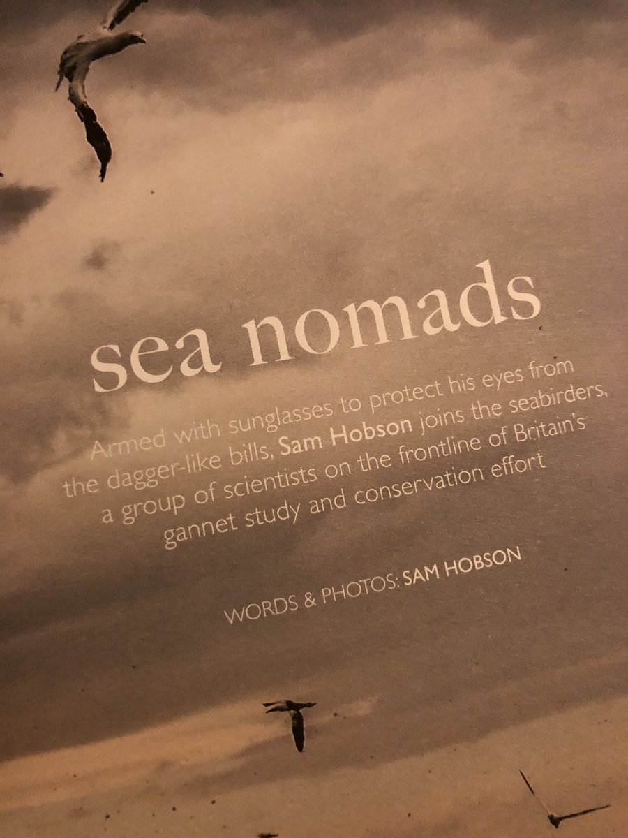 Chris Packham tweet media