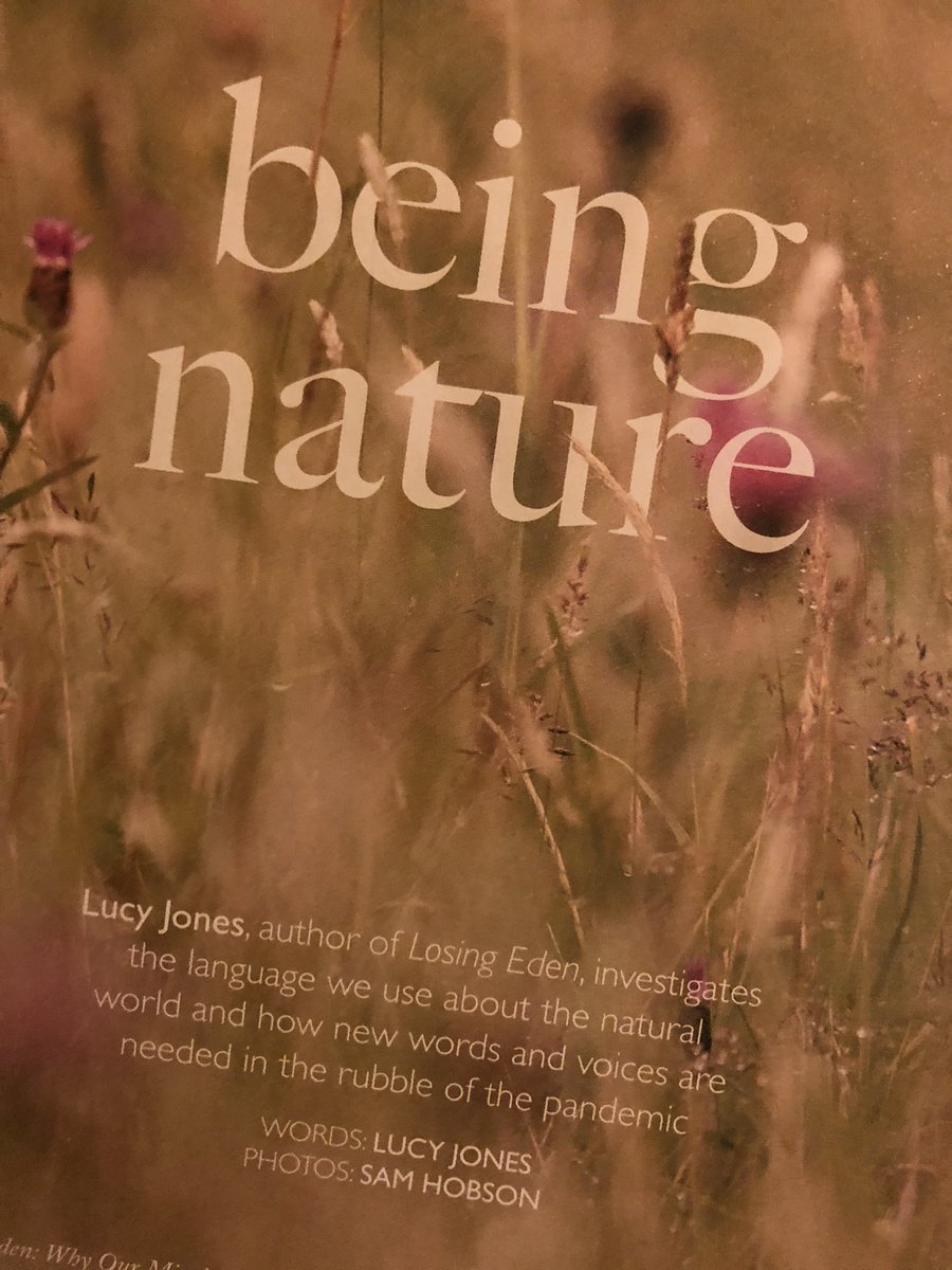 Chris Packham tweet media