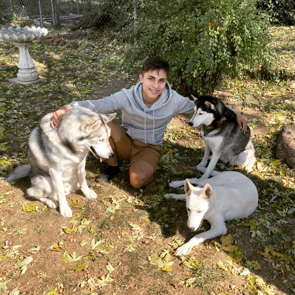Palacio4S's tweet photo. Palacio4Senate believes in the importance of ethical treatment of any and all animals and we are happy that the PETA organization helps us to support this #PETA #palacio4senate https://t.co/qF4QPJuKKH