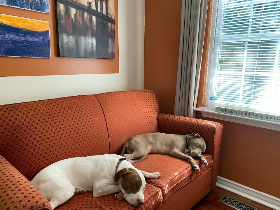 Toppdogg #Kennel  <a href="/Toppdogg912/">Topp</a> <a href="/toppdoggfishing/">Toppdoggfishing</a>