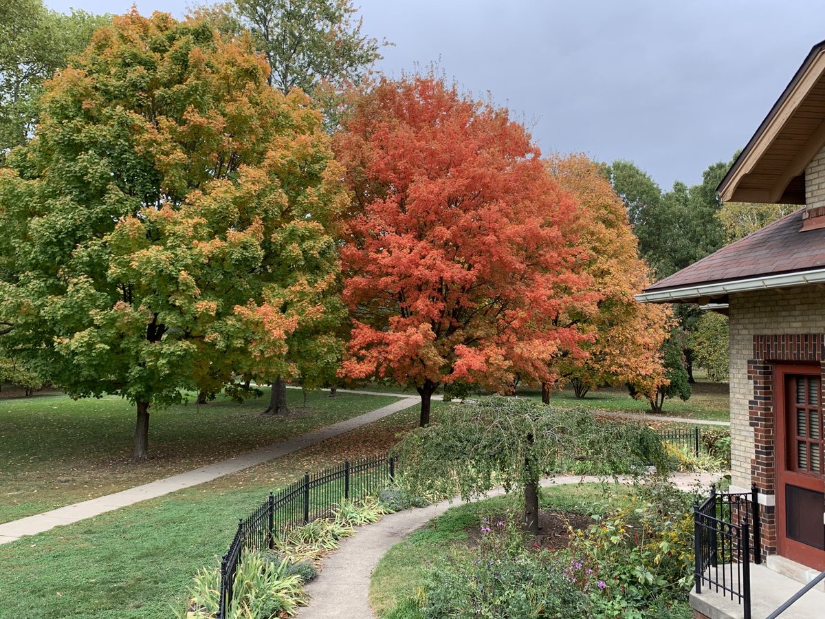 GoodaleParkFrnd's tweet photo. Autumn color is here and whose excited?? We are! https://t.co/4eUI7rqyt0
