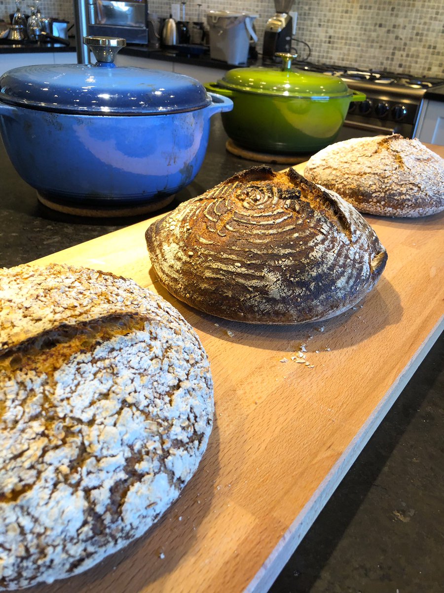 Supporting <a href="/Cereals_Canada/">Cereals Canada</a> with some artisan thanksgiving bread baking today. White Wheat Sourdough and Oat Porridge Bread on the menu for #Thanksgiving dinner tonight.  Missing those F2F board meetings these days.