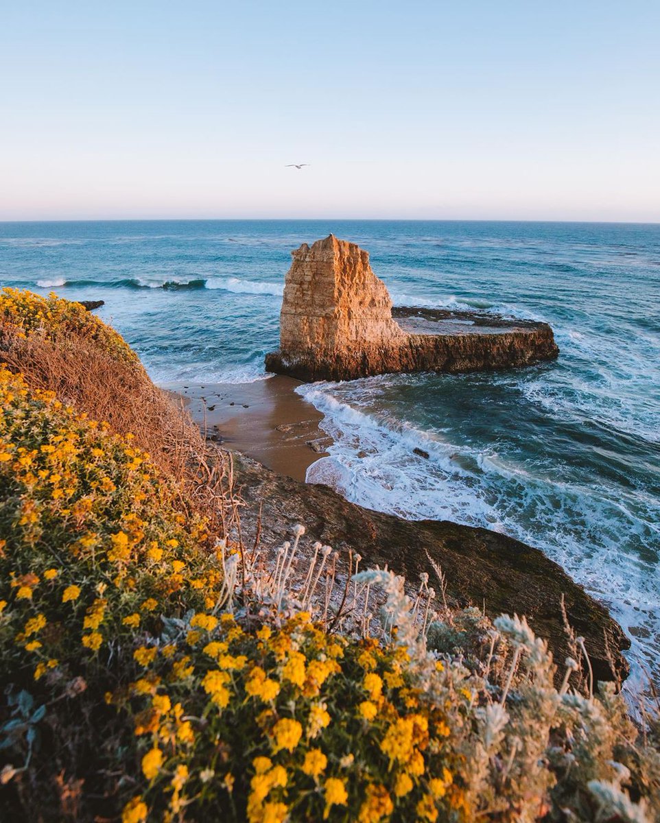 The beauty of the California coastline captured by: @dgsc. 💛 #wheredoyoucali #californiaclassics  #californiaclassicsclothing