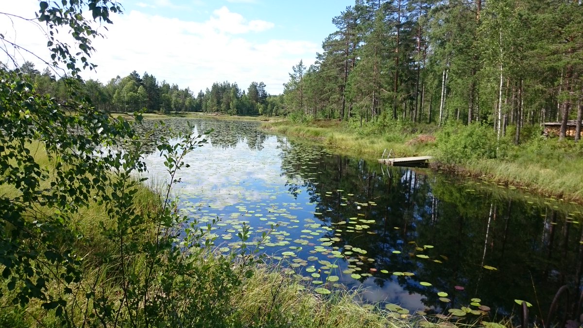 AHKommune's tweet photo. Er du lokalkjent? Vi ønsker alle våre innbyggere en riktig god mandag med dette flotte bildet, som er tatt av Hilde T. Sollie. Ser du hvor dette bildet er tatt? Skriv ditt forslag i kommentarene, og sjekk tilbake i morgen for svar! #ahkommune #aurskoghølandkommune #lokalkjent https://t.co/8MAWIohWHl