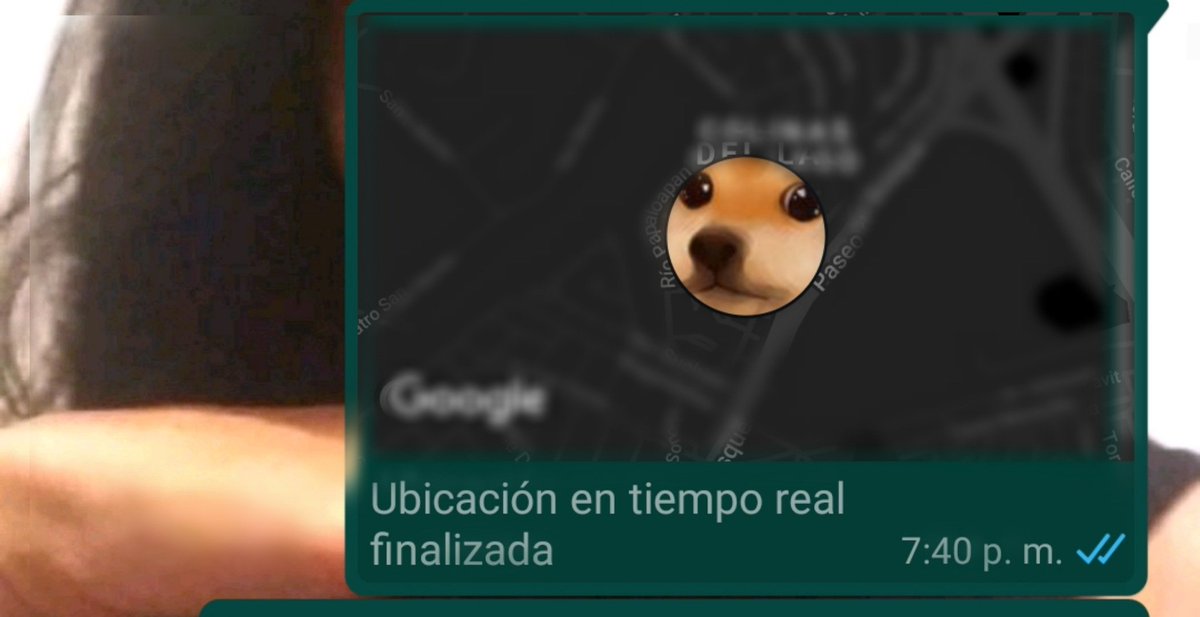 juanes_bc's tweet photo. @Chaosxperience Actualmente lo uso con mi novia, se ve bien cagado mandar tu ubicación en tiempo real. Gracias por tu esfuerzo :D https://t.co/3M627A1QuD