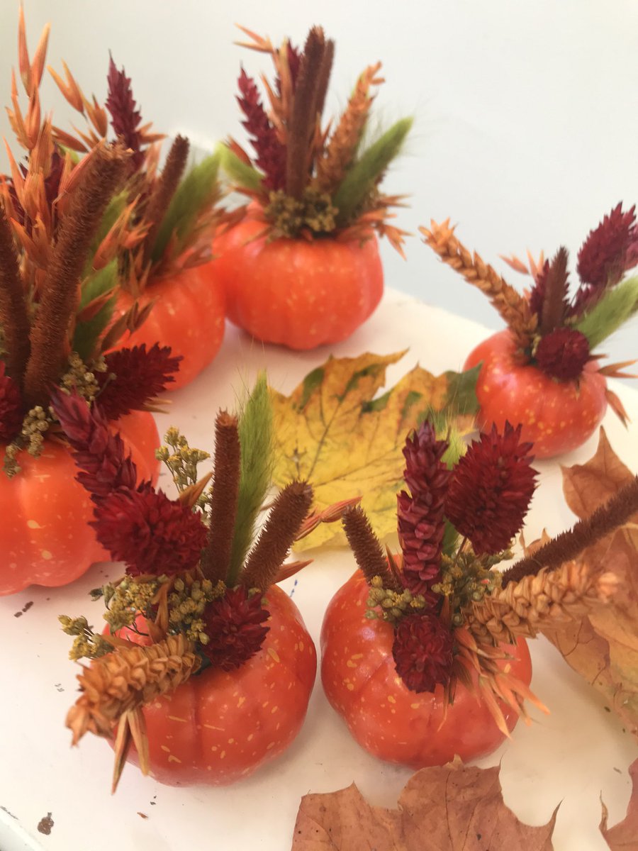 catkinstudio's tweet image. 🎃 HALLOWEEN GIVEAWAY 🎃 
Retweet &amp;amp; Follow @catkinstudio to win a bundle of dried flower pumpkins!!😍
(UK ONLY) find them here on my website &amp;gt; catkinstudio.com/shop/d3p6c4mwf… (ends 20/10) GOOD LUCK 👻