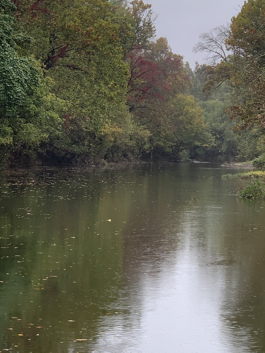 fuller_edward's tweet photo. Walking in the rain 🌧.
#Pluviophiles
#Petrichor 
#RiverStroll https://t.co/OC37s0Wt4v