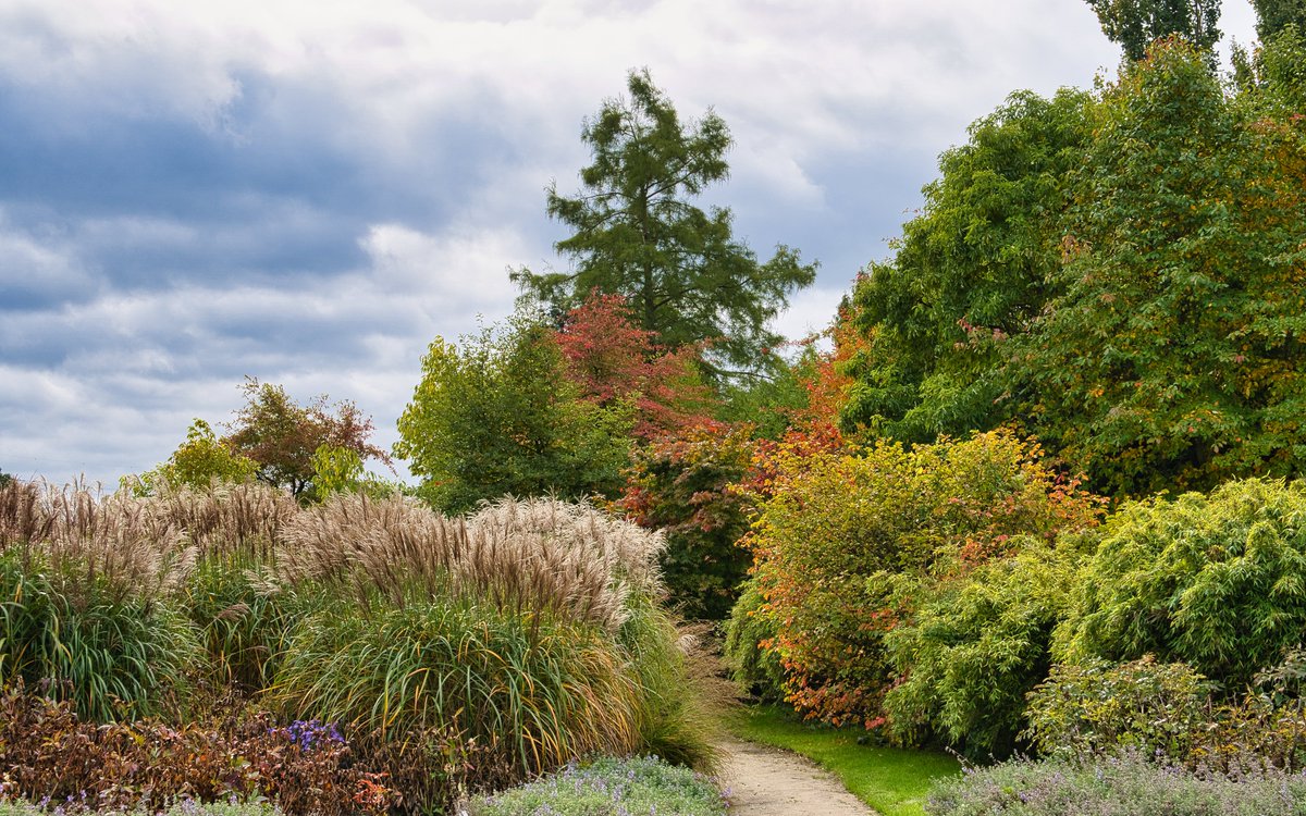 Herbst im Arboretum, es sieht dort jede Woche anders aus.
#sonyalpha6400 #zeiss1670 #arboretum #Herbst #Autumn #spaziergang #baum #park #colours #farben #madewithluminar4