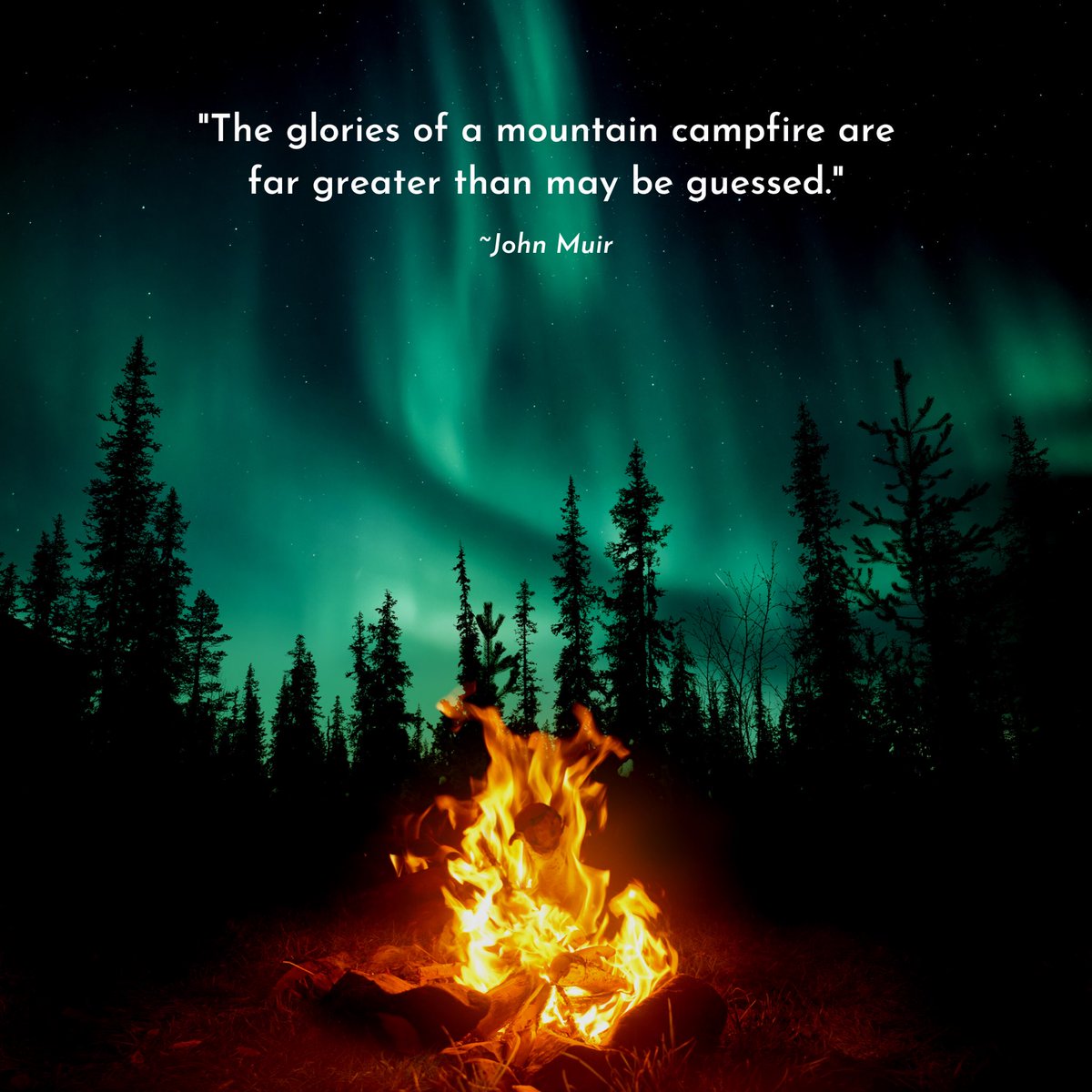 campingcot's tweet image. Mountain campfires certainty come with the best views! 💚

#fallcamping #campinglife #campingviews #campfire