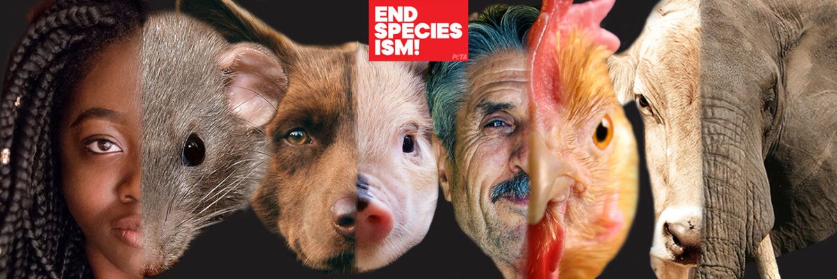 лондонский тауэр зверинец. люди животные в европе. для детей. селфи людей. люди животные в европе.