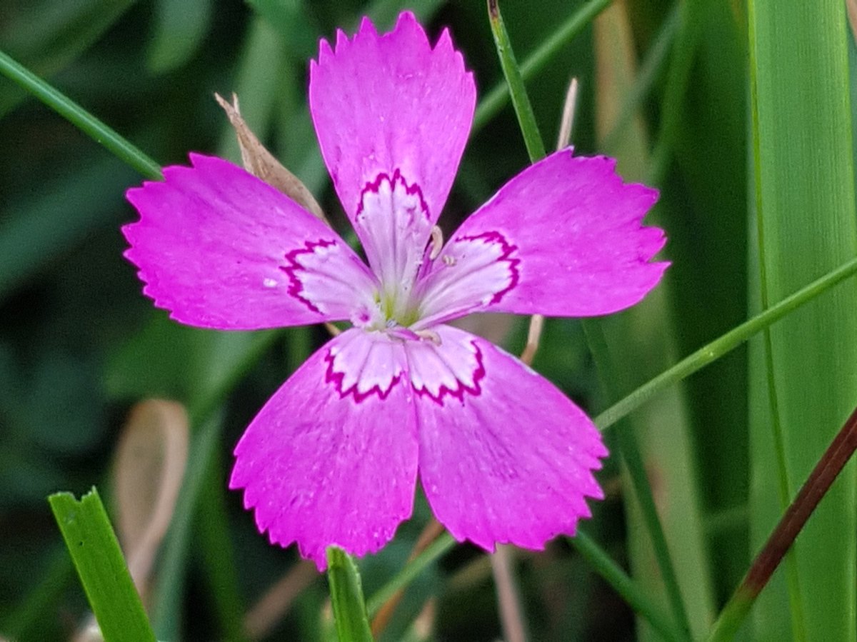 MandyForde tweet media