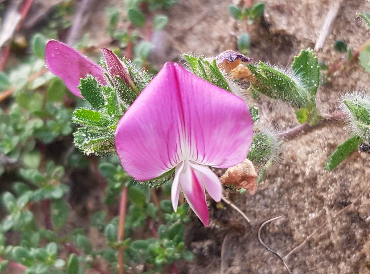 MandyForde tweet media