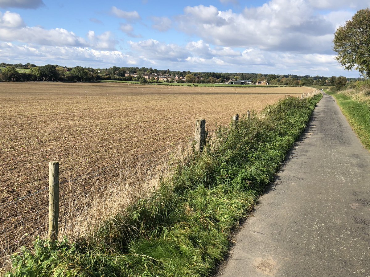 MontytheC's tweet photo. Lovely long ‘walkies’ today - an hour &amp; a bit trot across the fields ... so uplifting ...very sunny...
Hardly saw anyone else either ...
#cockapoo #sunday #SundayThoughts #montytalk #DogsofTwittter #Warwickshire 
🐶🐾🐾 https://t.co/aPPGhLeEqS