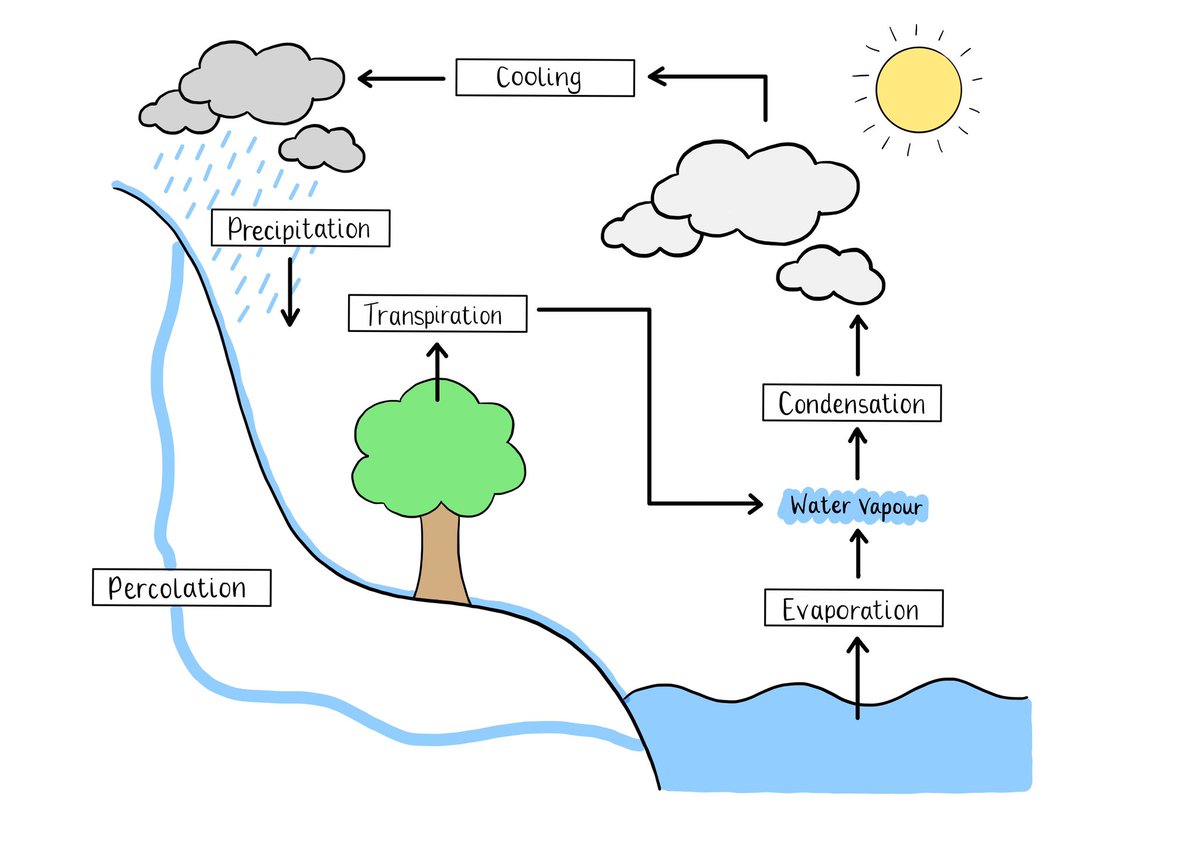 MissH_biology's tweet image. I’ve just added the diagrams below plus a few more to my shared google drive if anyone would find them useful! The link is in my pinned tweet. Enjoy 🧬🦠🔬🧠 @chatbiology @cogscisci