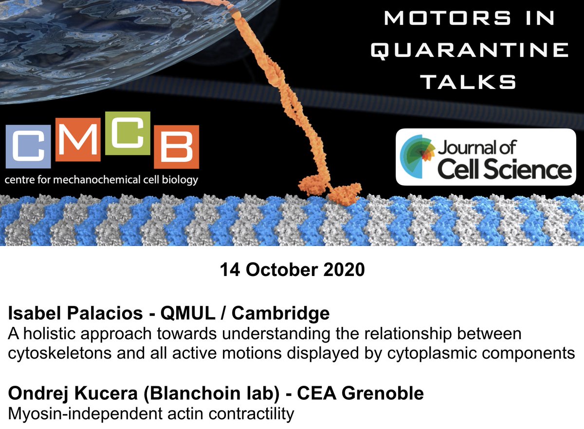 AnneStraube's tweet photo. 18th #MotorsInQuarantine talks feature @IsabelMPalacio2 and @OndrejDrKucera. Join us on Wednesday to admire cytoplasmic motility and motor-less contractions. https://t.co/cx4buOvUCV https://t.co/UAOJBKUtlB