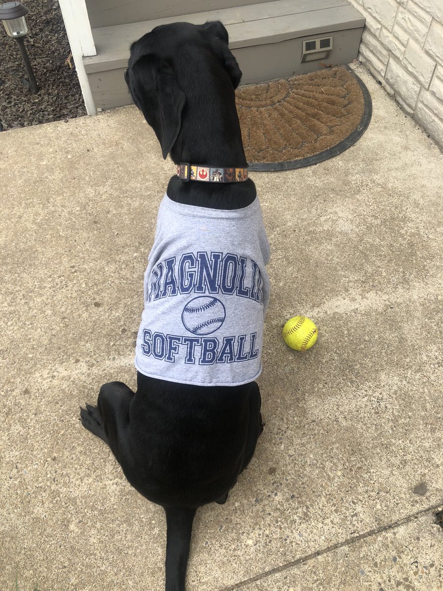 BlueEagleSB's tweet photo. Watching some fall ball today. We have some of the best fans. But fur real.... 🐾💙🥎 https://t.co/n11rVzzkvE