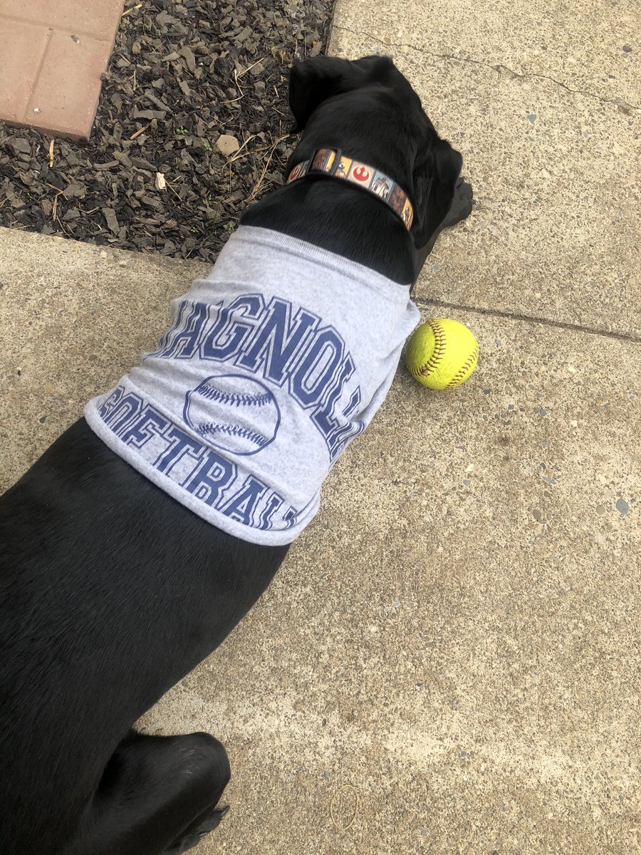 BlueEagleSB's tweet photo. Watching some fall ball today. We have some of the best fans. But fur real.... 🐾💙🥎 https://t.co/n11rVzzkvE
