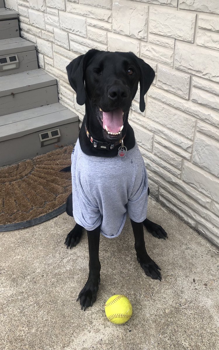 BlueEagleSB's tweet photo. Watching some fall ball today. We have some of the best fans. But fur real.... 🐾💙🥎 https://t.co/n11rVzzkvE