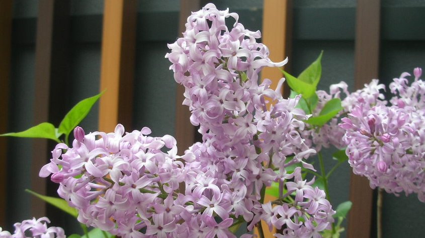 kamisama_kotoba's tweet image. You are what you see.

あなたはあなたの観ているものです。
#projection #投影