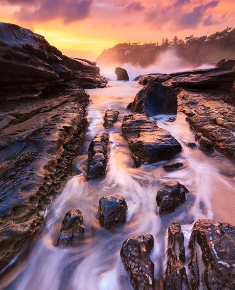 A seascape favourite from Whale Beach in Sydney 🐳