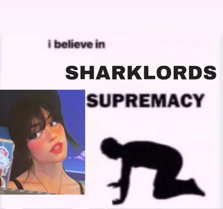 Noeldoobee's tweet photo. @SHARKLORDS you heard it here 🖤✨🖤✨🖤 https://t.co/NvSE5ILN9o