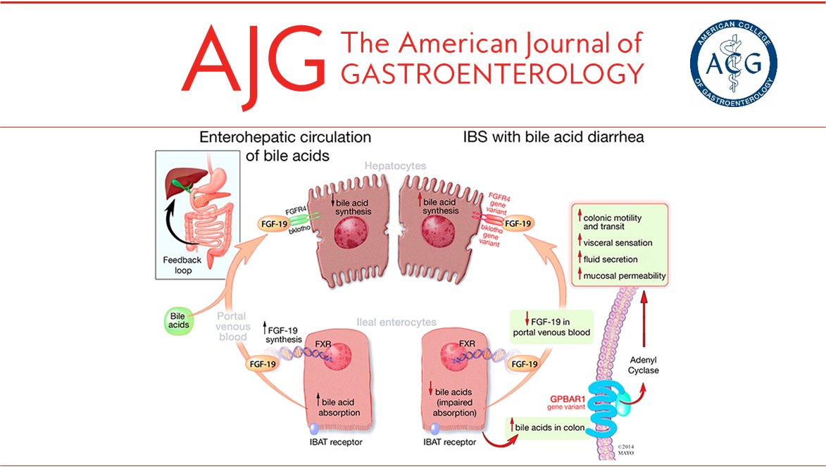 ACG tweet media