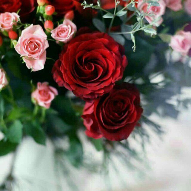 اظهر شعورك فى جميل العبارات 
ترى الكلام الزين طب .. المداوى 

قدم لمحبوبك من الورد .. باقات 
لا تبخل بمد العطاء وأنت . قاوي

#مملكه_العنيده_للدعم