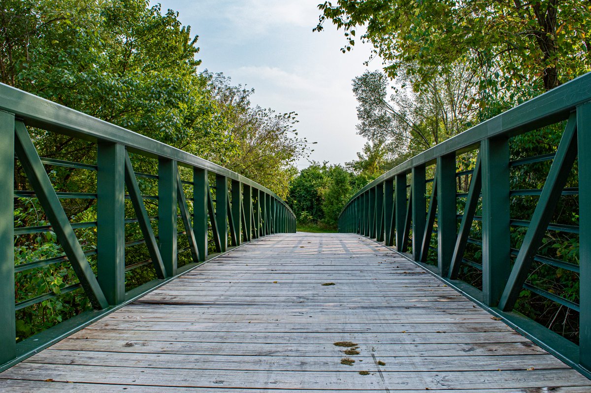 leessummitgo's tweet photo. The 6.5-mile #LongviewLake Trail follows the west and south sides of the lake through grassy meadows, along the lakeshore and through wooded groves. Rent a bike at the self-serve station at Shelter 14. More at Lee's Summit Go: https://t.co/s77eLTrhhN @JacksonCountyMO https://t.co/ahmk41ss0e
