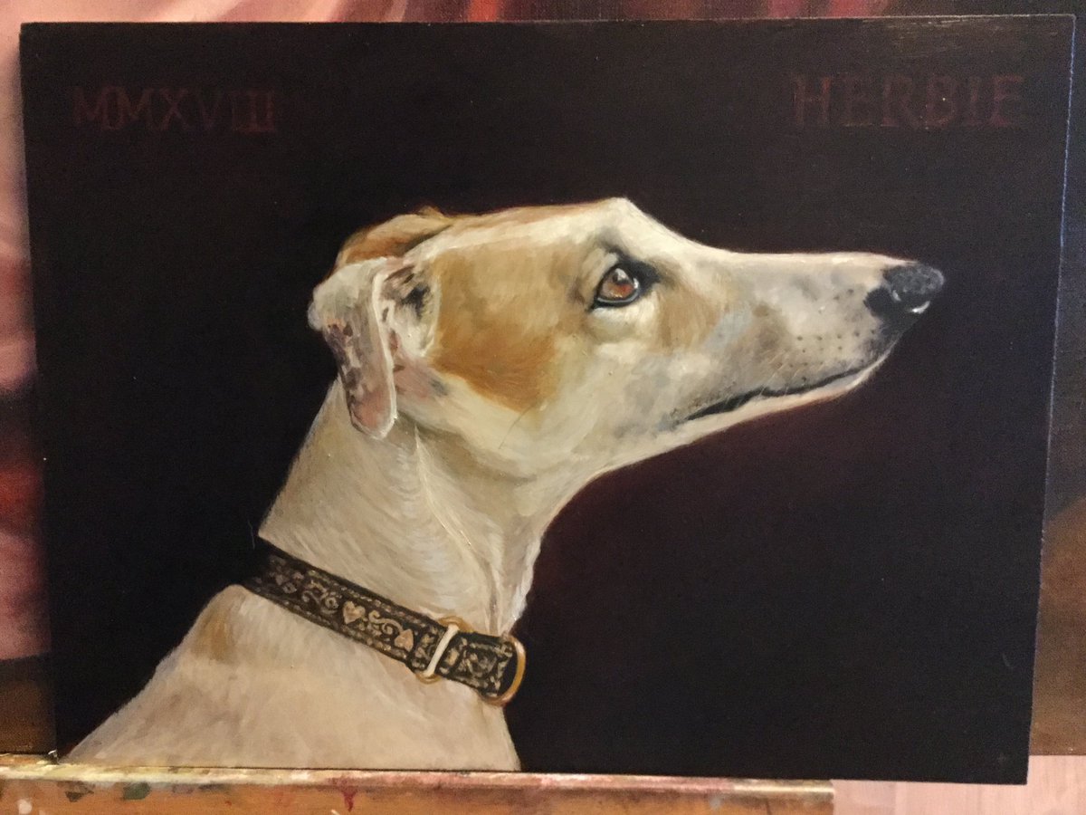 My painting, which was for a wonderful charity @kerrygreyhounds #alefounderart #kerrygreyhounds #dogartists #animalpaintings #dogpaintings #greyhoundpainting