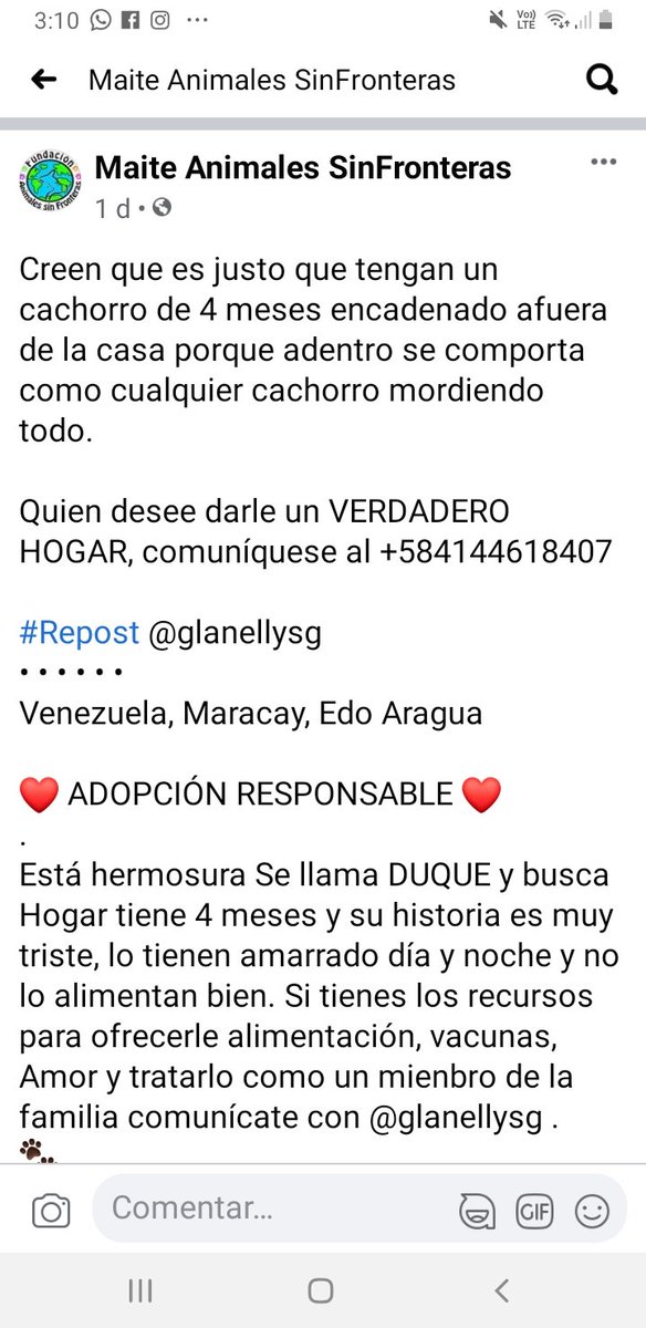 #BuscaUnHogar RT @cocomaria58: #Urgente #Maracay #Venezuela 
 ⛔⛔⛔⛔cachorro de 4 meses lo encadenan porque muerde todo  🤬🤬 necesita ayuda urgente. 
 0414-4618407
#Repost @glanellysg