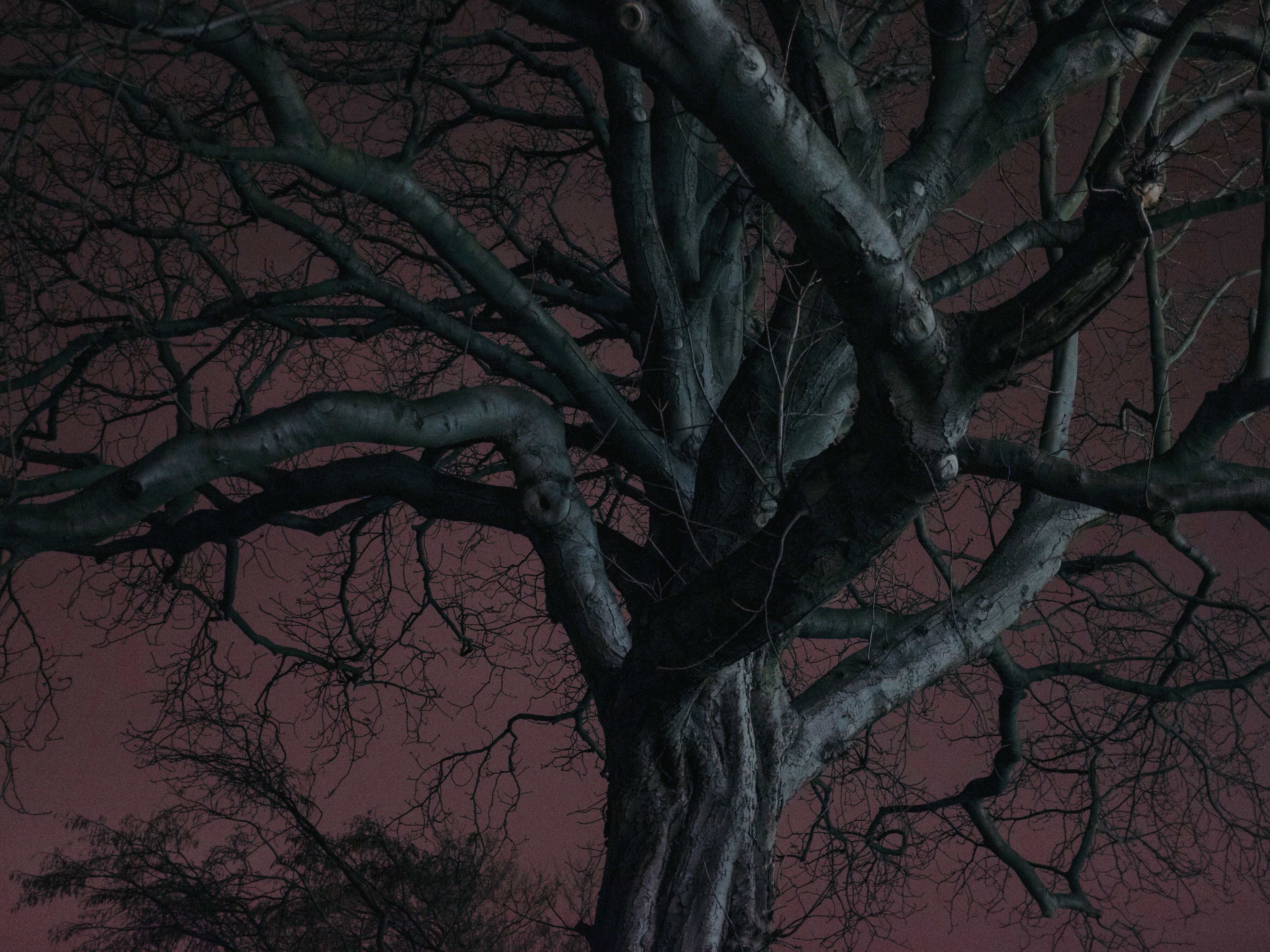 Пинтерест Dark aesthetic
