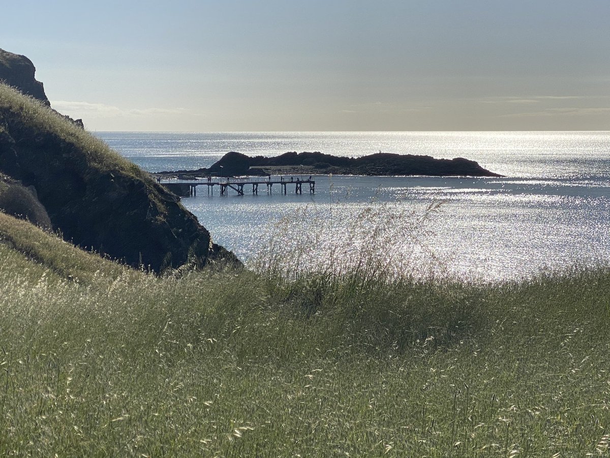 MikeCoggan's tweet photo. Don’t tell anyone but this is one of the beat camping spots in the country #SecondValley @abcadelaide https://t.co/kvbdlQ2FIB