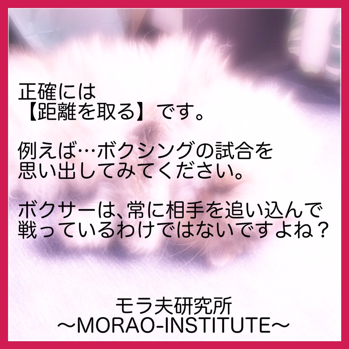 モラ夫研究所 Chimo 0619 Twitter モラ夫研究所 Chimo 0619 Twitter