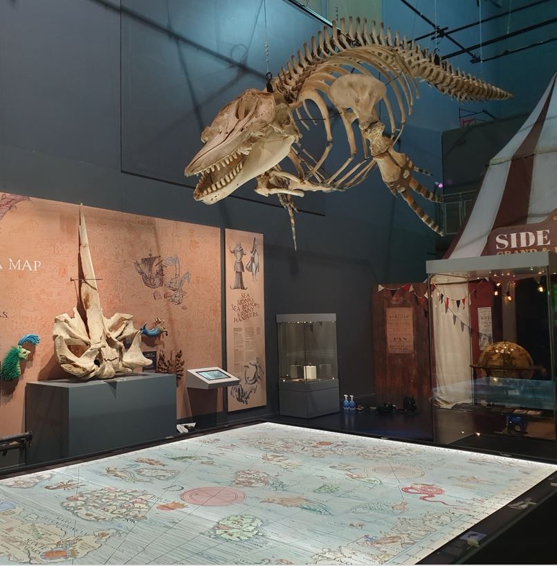 By borrowing specimens from the Booth Museum in Brighton, the Science Museum, British Museum and Royal Museums Greenwich in London, and Cambridge University Library, we were able to bring this part of the exhibition to life, and it looks amazing....