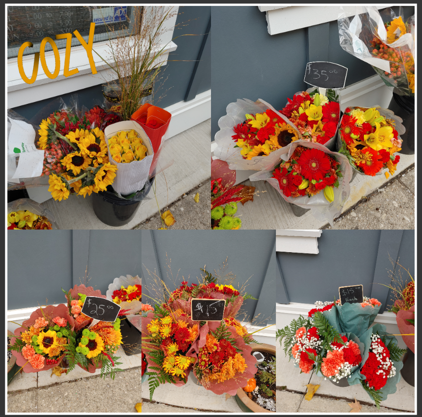 Bonnie Green tweet media