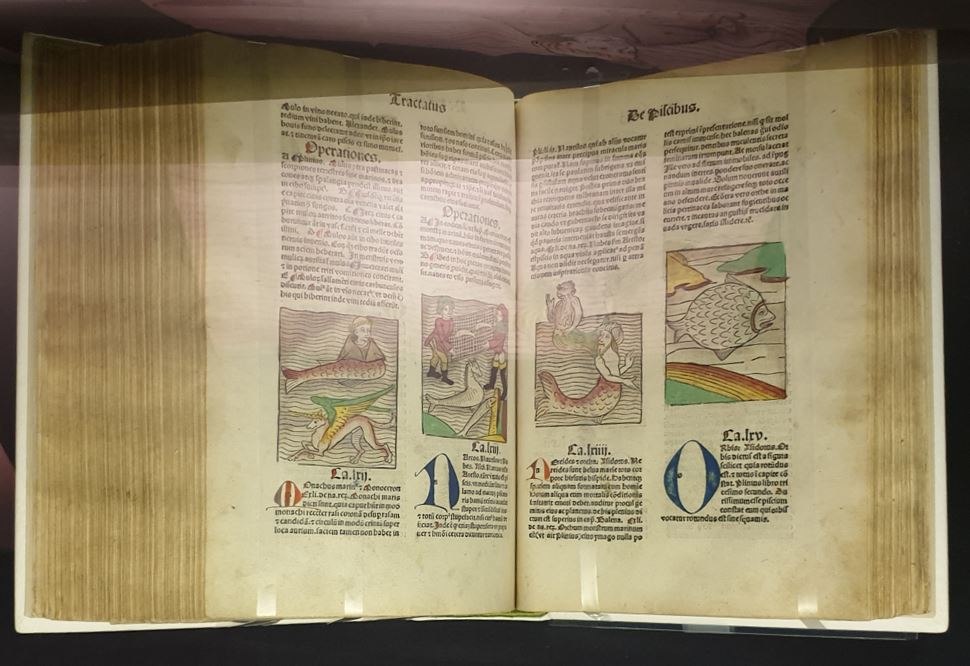 On that note, we also have on display the Hortus Sanitatis of 1491, a beautifully illustrated encyclopedia which collates zoological and botanical knowledge of its time. Sea monsters appear on some of its pages. Having the Hortus on show in our exhibition is a big deal...