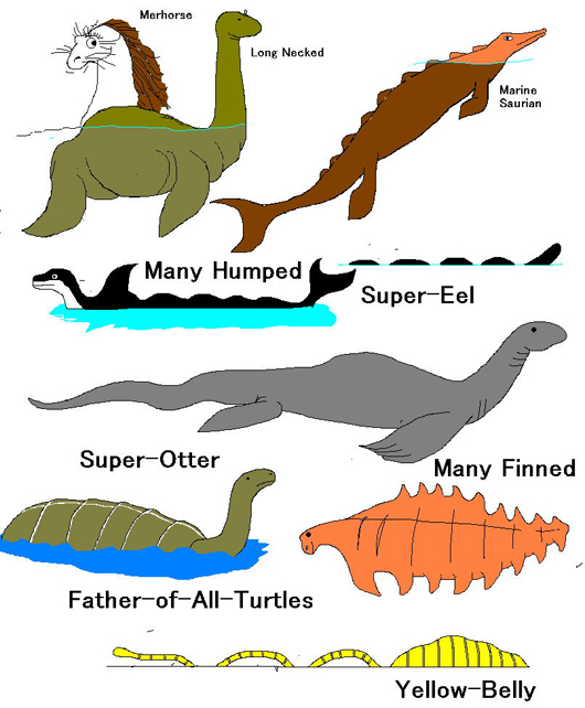 As regular readers of my writings may know, Heuvelmans argued that ‘sea serpent’* accounts couldn’t be interpreted as observations of a single unknown species, but were surely evidence of at least nine such creatures (art by  @LordGeekington)...  #cryptozoology