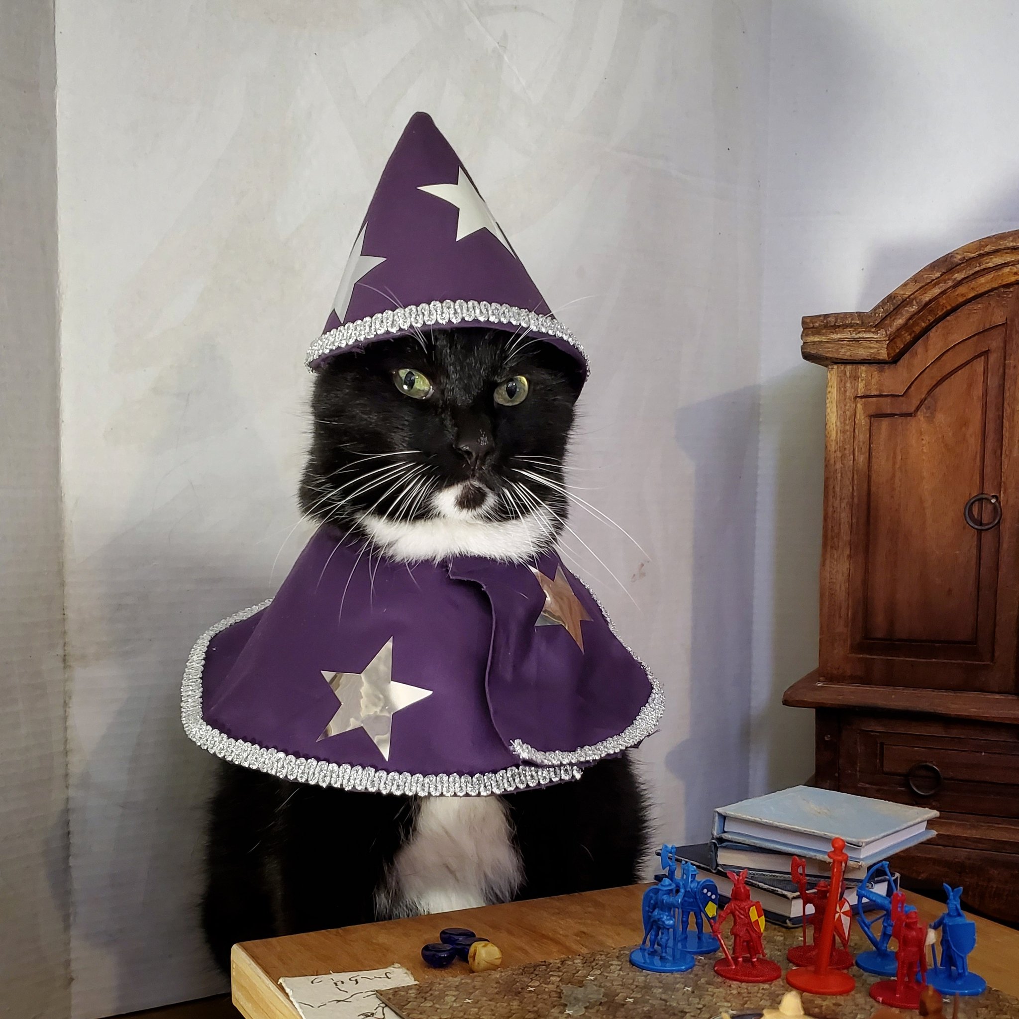 Purple Wizard Cat Hat Wizard Hat for Cat Wizard Hat for