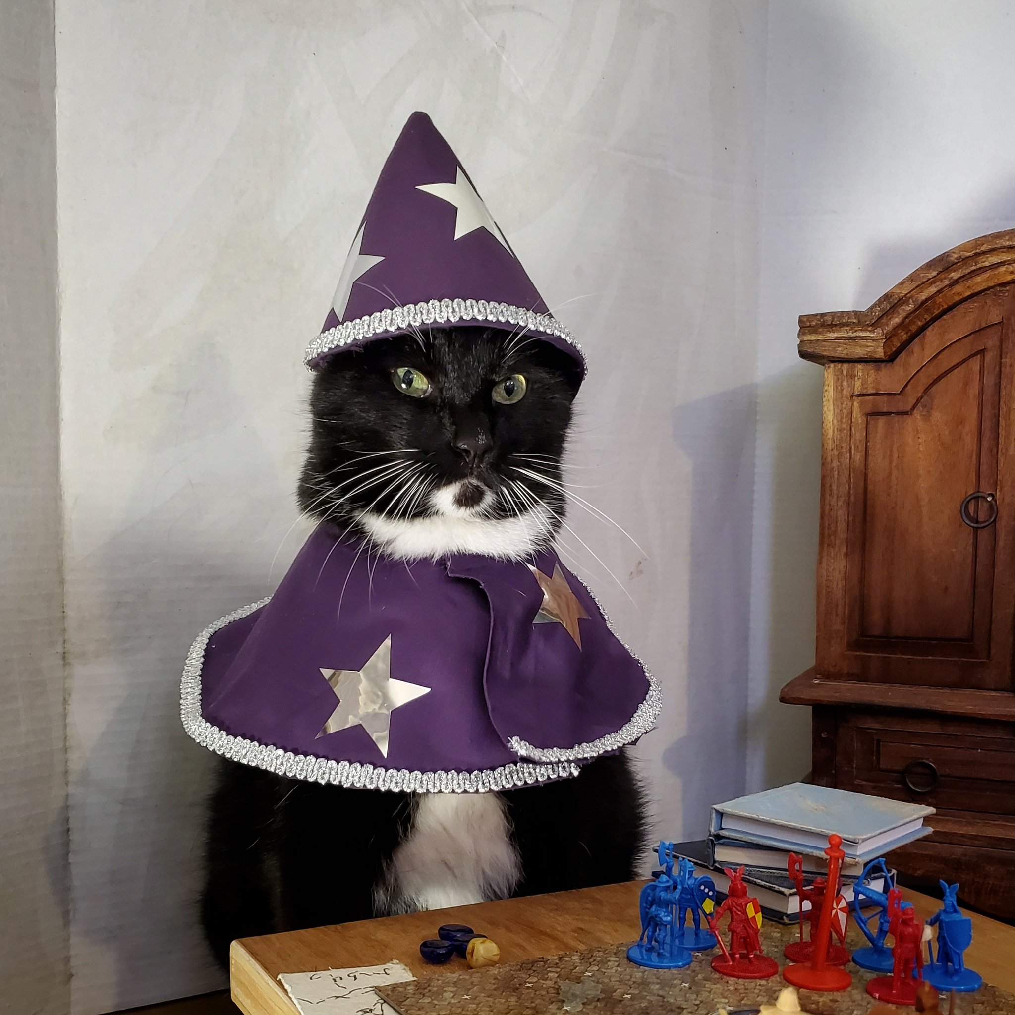 Purple Wizard Cat Hat Wizard Hat for Cat Wizard Hat for 