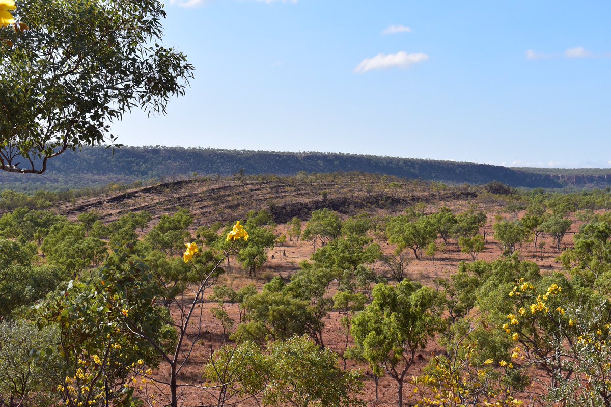 gessssouthaus's tweet photo. For day 1️⃣ of GESSS-SA celebrating #EarthScienceWeek2020, we would love to introduce you to our first student field research experience from our very own program coordinator Darwin! Read all about his experience during his recent PhD fieldwork here 
https://t.co/8VmovjX6GP 🎉💥🌏 https://t.co/CvYY85rnKY
