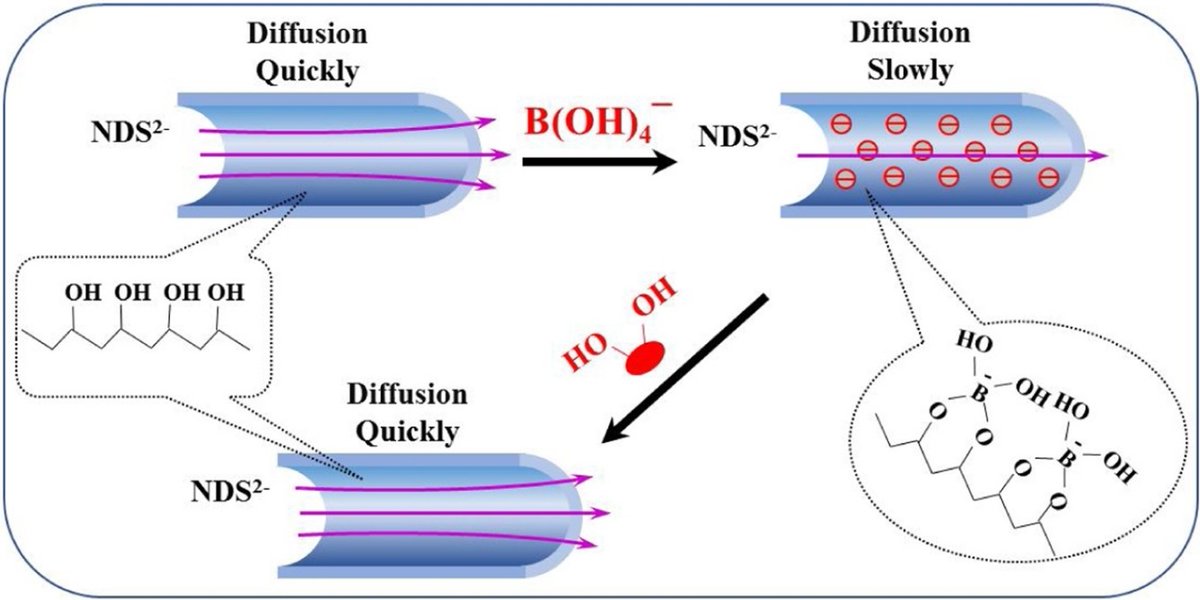 ChinChemLett's tweet image. Biomimetic nanochannel membrane for cascade response of borate and cis-hydroxyl compounds: An IMP logic gate device. #logicgate @ELSchemistry sciencedirect.com/science/articl…