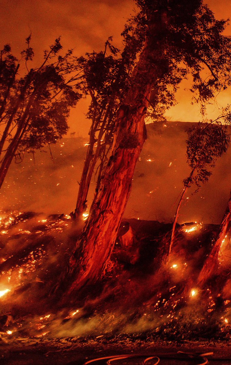 How it started                 How it’s going