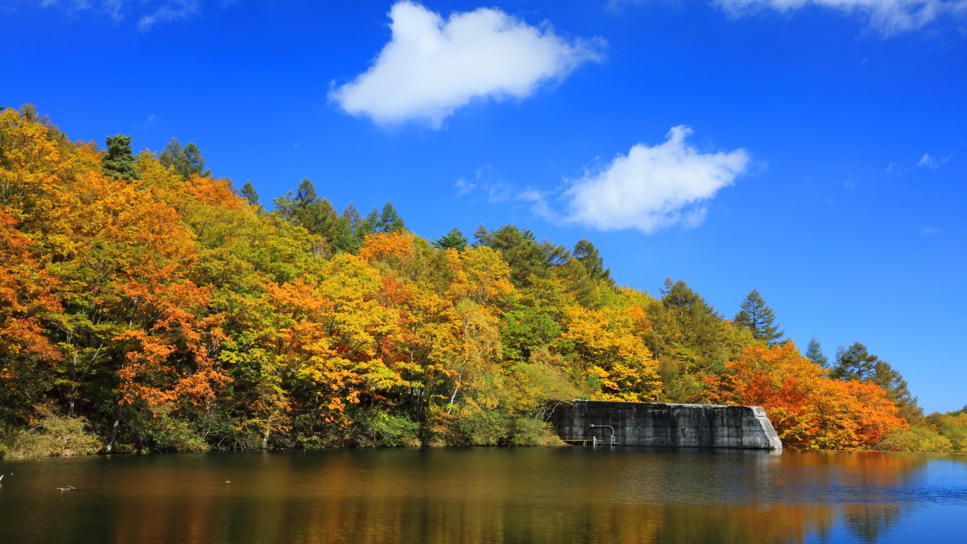 滝 山岳写真 自然風景 遊亀湖の紅葉 遊亀湖 八千穂高原自然園 秋の思い出 写真 風景写真 紅葉風景 紅葉の有る景色 Twitterで写真 フォロー返し 相互フォロー 相互フォローの輪 写真好きの人と繋がりたい ファインダー越しの私の世界 T