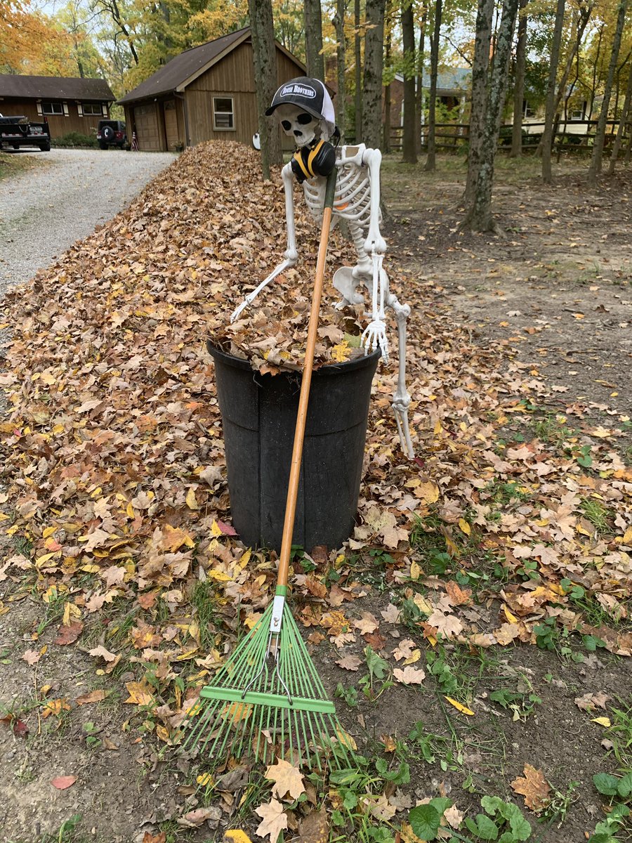 RouseLawn's tweet photo. Leaf Removal is in full swing! Contact us to schedule a fall cleanup or curbside leaf pickup! 513-807-2395 https://t.co/O8TqPAc3wf