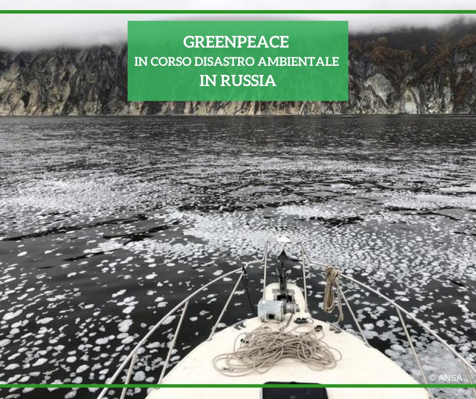È in corso un disastro ambientale in #Russia: lo riferisce <a href="/Greenpeace/">Greenpeace International</a> attraverso una spedizione di alcuni suoi attivisti in #Kamchatka, dove sono state raccolte “testimonianze dell'#inquinamento del #mare, ancora di origine ignota”.
#ANSAAmbiente
➡ bit.ly/3lp2rtX