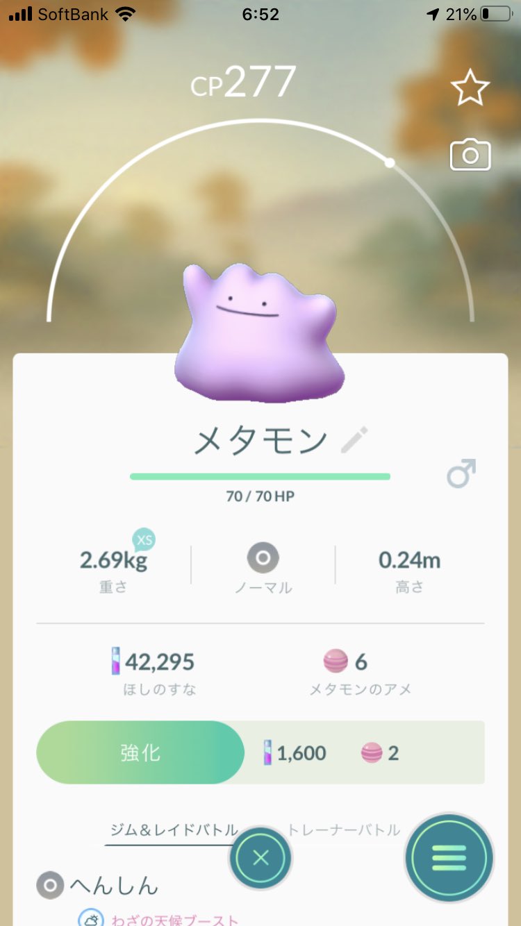18時1合5勺炊く ポケモンgoのメタモン性別あるん T Co Vbiycz5jea Twitter