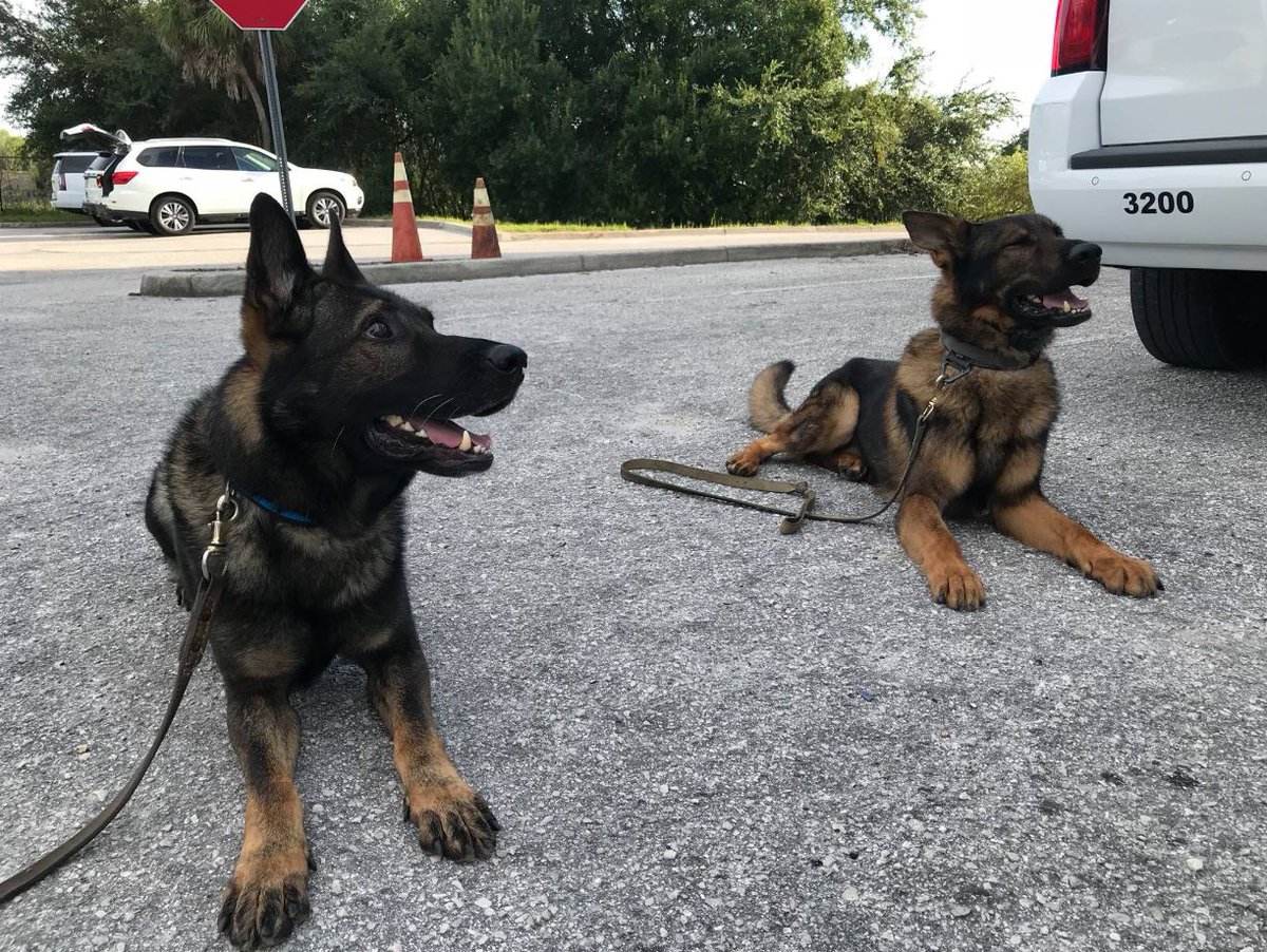 Dream team! #ShepHappens #YogiDaMan
